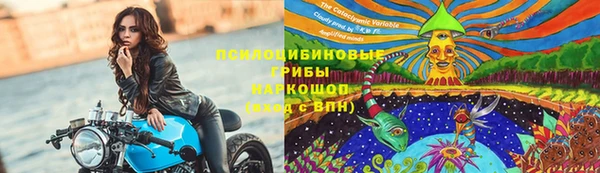 амф Аркадак